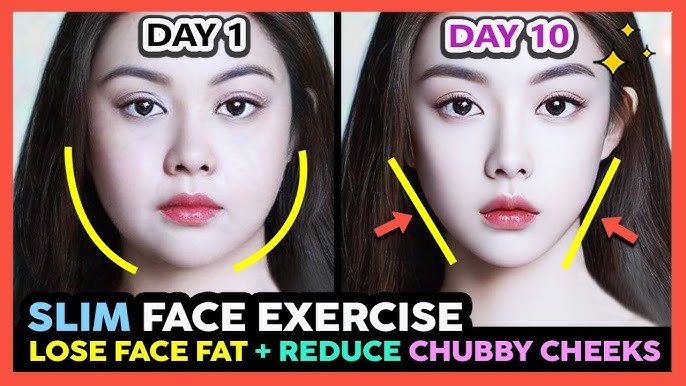Face Fat